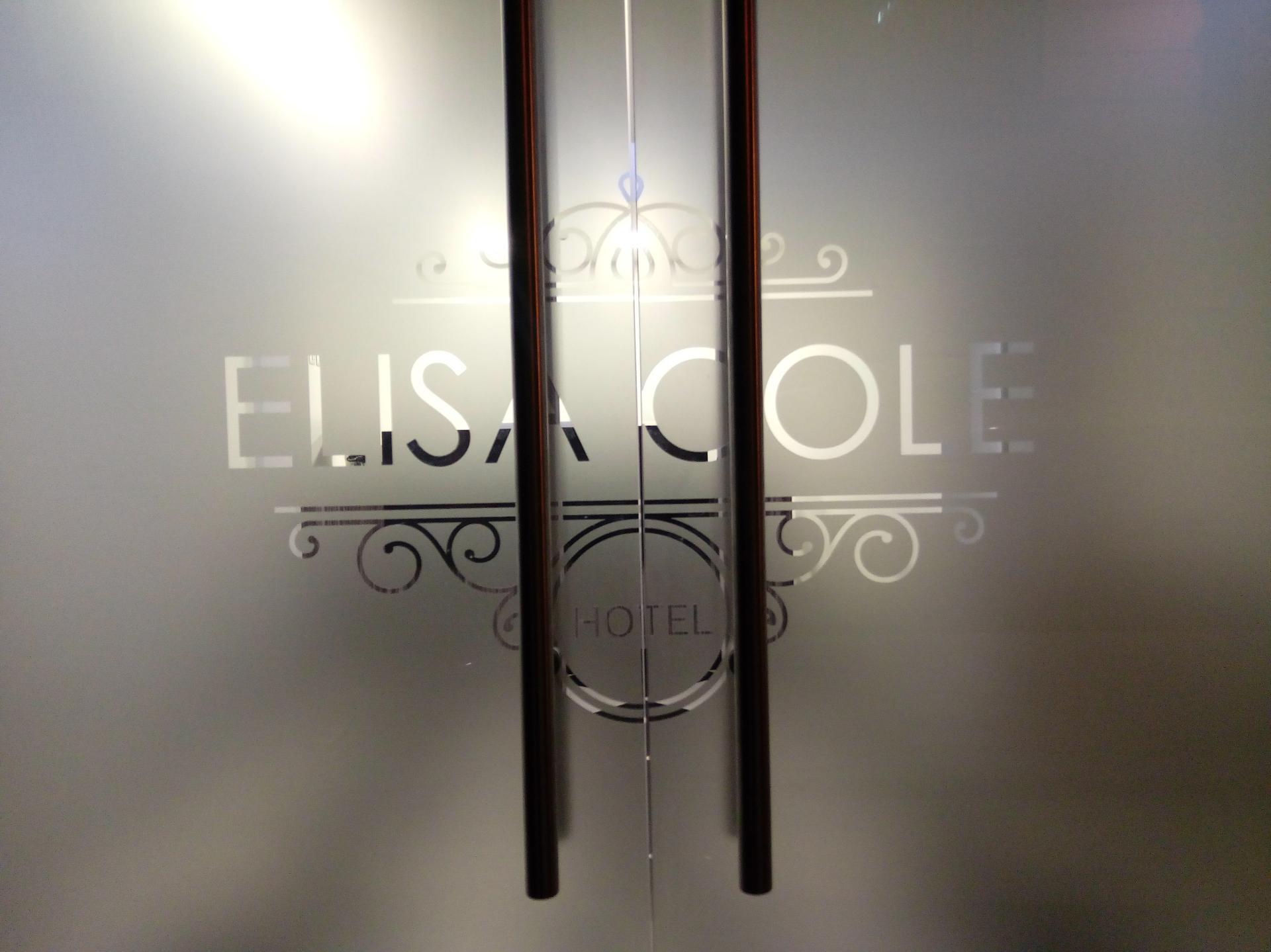 Hotel Elisa Cole Santiago de Chile Exteriör bild